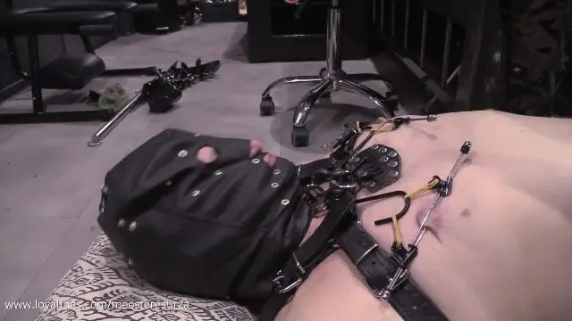 Poster: MISTRESS TIRZA: femdom Nipple - play with this nipples clamps on it and stretching kinky treat pee over it Poster: MISTRESS TIRZA: femdom Nipple - play with this nipples clamps on it and stretching kinky treat pee over it