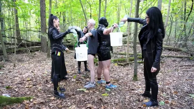 Poster: Mistress Blackdiamoond: kinky mistress ballbusting - CBT Duel