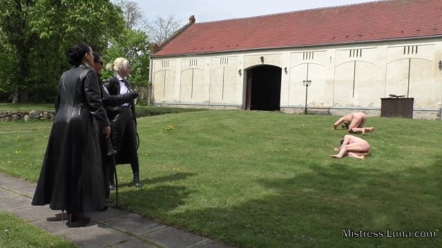 Poster: Mistress Luna Whipping - Fetch the toy, puppies!